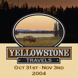 Yellowstone Travels