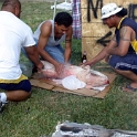 USA ID Boise 7011WestAshland 2005JUL30 Party FitzysPool 012  Time to dress the whole pig ..... : 2005, 7011 West Ashland, Americas, Boise, Date, Events, Fitzy's Pool Party, Idaho, July, Month, North America, Parties, Places, USA, Year