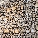 237 FacebookHeader EU PRT ALE AC Evora 2017JUL11 CapelaDosOssos 021  One of the more unusual sights I've visited - Capela dos Ossos (Chapel of Bones) in Évora, Portugal.   During the 16th Century, the graveyards in Évora were overcrowded, so bones were exhumed to make way for new bodies to be buried. Over 5000 bones were respectfully cast into the cement and housed in this place of worship. The exhumation aligned with the common beliefs of the era and followed the Counter-Reformation ideology that the bodies would be closer to God.   Hell of a recycling project if you ask me!!!— @ Évora, Alentejo, Portugal : 2017, 2017 - EurAisa, DAY, Europe, July, Portugal, Southern Europe, Tuesday