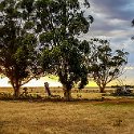 259 FacebookHeader AUS VIC Yarrawalla 2017DEC24 004  Gotta love sunrises ... even ones on Christmas Eve in northern country Victoria. — @ Yarrawalla, Victoria, Australia. : - DATE, - PLACES, - TRIPS, 10's, 2017, 2017 - More Miles Than Santa, Australia, Day, December, Month, Schmidt Sheep Station, Sunday, VIC, Yarrawalla, Year