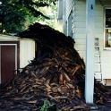 USA ID Boise 1112North7th 1996AUG ReRoofing 003  Believe it or not, this is only one third of the shingles from the back 1/2 of the house. The worst part of the job was the clean up.    We had a neighbors friend who used to be a roofer, come over and help put on the new roof. This way we were assured that we would have no leaks. : 1996, 7011 West Ashland, Americas, August, Boise, Exterior, Fitzy's Poverty Palaces, Idaho, North America, Repairs, Roof, Roofing, USA
