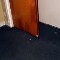 USA ID Boise 7011WAshland LL 3rdBedroom 2005MAR26 002  The black stuff stuck like shit to a blanket, but needed to be removed. : 2005, 3rd Bedroom, 7011 West Ashland, Americas, Boise, Idaho, March, North America, USA
