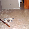 USA ID Boise 7011WAshland LL Office 2005APR06 002  The floor was all over the place so I decised to poor some self-levelling concrete befor installing laminate flooring. : 2005, 7011 West Ashland, Americas, April, Boise, Idaho, North America, Office, USA
