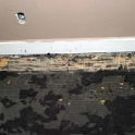 USA ID Boise 7011WAshland LL TVRoom 2005MAR26 002  It literally stuck like shit to a blanket and took me ages to hand scrape the lot. : 2005, 7011 West Ashland, Americas, Boise, Idaho, March, North America, TV Room, USA