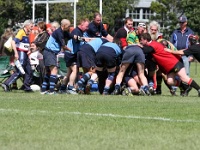 OC NZL WGN Wellington 2006NOV01 GO v JohnsonvilleCripples 012 : 2006, 2006 Wellington Golden Oldies, Date, Golden Oldies Rugby Union, Johnsonville Cripples, Month, New Zealand, November, Oceania, Places, Rugby Union, Sports, Teams, Wellington, Year
