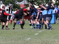 OC NZL WGN Wellington 2006NOV01 GO v JohnsonvilleCripples 024 : 2006, 2006 Wellington Golden Oldies, Date, Golden Oldies Rugby Union, Johnsonville Cripples, Month, New Zealand, November, Oceania, Places, Rugby Union, Sports, Teams, Wellington, Year