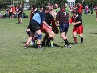 OC NZL WGN Wellington 2006NOV01 GO v JohnsonvilleCripples 041 : 2006, 2006 Wellington Golden Oldies, Date, Golden Oldies Rugby Union, Johnsonville Cripples, Month, New Zealand, November, Oceania, Places, Rugby Union, Sports, Teams, Wellington, Year