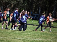 ARG BA MarDelPlata 2014SEPT26 GO Dingoes vs SuperAlacranes 076 : 2014, 2014 - South American Sojourn, 2014 Mar Del Plata Golden Oldies, Alice Springs Dingoes Rugby Union Football CLub, Americas, Argentina, Buenos Aires, Date, Golden Oldies Rugby Union, Mar del Plata, Month, Parque Camet, Patagonia - Super Alacranes, Places, Rugby Union, September, South America, Sports, Teams, Trips, Year
