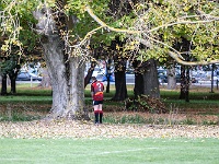 NZL CAN Christchurch 2018APR27 GO Gameday03 065 : - DATE, - PLACES, - SPORTS, - TRIPS, 10's, 2018, 2018 - Kiwi Kruisin, 2018 Christchurch Golden Oldies, Alice Springs Dingoes Rugby Union Football Club, April, Canterbury, Christchurch, Day, Friday, Gameday 3, Golden Oldies Rugby Union, Month, New Zealand, Oceania, Rugby Union, South Hagley Park, Teams, Year