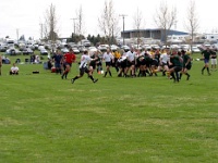 USA WA Spokane 2004APR03 Lions vs BozemanCutthroats 032 : 2004, 43rd State Crimson Lions, Americas, April, Bozeman - Cutthroats, Foolsfest, North America, Rugby Union, Spokane, USA, Washington