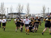 USA WA Spokane 2004APR03 Lions vs NorthIdahoOsprey 028 : 2004, 43rd State Crimson Lions, Americas, April, Foolsfest, North America, North Idaho - Osprey, Rugby Union, Spokane, USA, Washington