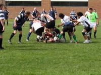 USA MT Missoula 2006APR29 Lions vs KalispellMoose 089 : 2006, 43rd State Crimson Lions, Americas, April, Kalispell - Moose, Maggotfest, Missoula, Montana, North America, Rugby Union, USA