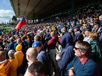 NZL BOP Rotorua 2011SEPT14 RWC SAMvNAB 010 : 2011, 2011 - Rugby World Cup, Bay Of Plenty, Date, Month, Namibia, New Zealand, Oceania, Places, Rotorua, Rugby Union, Rugby World Cup, Samoa, September, Sports, Trips, Year