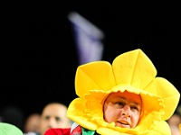 NZL WKO Hamiilton 2011SEPT16 RWC NZLvJPN 015 : 2011, 2011 - Rugby World Cup, Date, Hamilton, Japan, Month, New Zealand, New Zealand All Blacks, Oceania, Places, Rugby Union, Rugby World Cup, September, Sports, Trips, Waikato, Year
