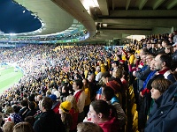 NZL WGN Wellington 2011SEPT23 RWC AUSvUSA 008 : 2011, 2011 - Rugby World Cup, Australia, Date, Month, New Zealand, Oceania, Places, Rugby Union, Rugby World Cup, September, Sports, Trips, USA, Wellington, Year