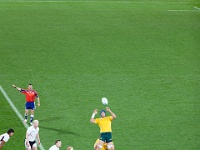 NZL WGN Wellington 2011SEPT23 RWC AUSvUSA 012 : 2011, 2011 - Rugby World Cup, Australia, Date, Month, New Zealand, Oceania, Places, Rugby Union, Rugby World Cup, September, Sports, Trips, USA, Wellington, Year