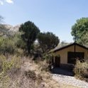 TZA MAR SerengetiNP 2016DEC24 VisitorCentre 003 : 2016, 2016 - African Adventures, Africa, Date, December, Eastern, Mara, Month, Places, Serengeti National Park, Serengeti Visitors Centre, Seronera, Tanzania, Trips, Year