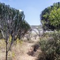 TZA MAR SerengetiNP 2016DEC24 VisitorCentre 007 : 2016, 2016 - African Adventures, Africa, Date, December, Eastern, Mara, Month, Places, Serengeti National Park, Serengeti Visitors Centre, Seronera, Tanzania, Trips, Year