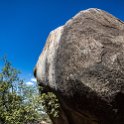 TZA MAR SerengetiNP 2016DEC24 VisitorCentre 014 : 2016, 2016 - African Adventures, Africa, Date, December, Eastern, Mara, Month, Places, Serengeti National Park, Serengeti Visitors Centre, Seronera, Tanzania, Trips, Year