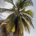 TZA ZAN ZMM StoneTown 2016DEC20 WalkingTour 013 : 2016, 2016 - African Adventures, Africa, Date, December, Eastern, Mjini Magharibi, Month, Old Fort, Places, Stone Town, Tanzania, Trips, Year, Zanzibar