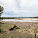 ZMB EAS SouthLuangwa 2016DEC10 WildlifeCamp 003 : 2016, 2016 - African Adventures, Africa, Date, December, Eastern, Mfuwe, Month, Places, South Luangwa, Trips, Wildlife Camp, Year, Zambia