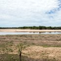 ZMB EAS SouthLuangwa 2016DEC10 WildlifeCamp 005 : 2016, 2016 - African Adventures, Africa, Date, December, Eastern, Mfuwe, Month, Places, South Luangwa, Trips, Wildlife Camp, Year, Zambia