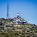 ZAF WC CapePoint 2016NOV14 NP 005 : 2016, 2016 - African Adventures, Africa, November, South Africa, Southern, Western Cape, Cape Point, Cape Peninsula, Cape Town, National Park