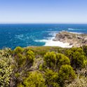ZAF WC CapePoint 2016NOV14 NP 011 : 2016, 2016 - African Adventures, Africa, November, South Africa, Southern, Western Cape, Cape Point, Cape Peninsula, Cape Town, National Park