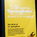 ZAF WC CapeTown 2016NOV16 012 : 2016 - African Adventures, Cape Town, Western Cape, South Africa, Southern, Africa, 2016, November, THe Springbok Experience