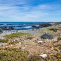 ZAF WC CapeTown 2016NOV15 RobbenIsland 012 : 2016, Africa, Date, Month, November, Places, Robben Island, South Africa, Southern, Western Cape, Year