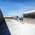ZAF WC CapeTown 2016NOV15 RobbenIsland 034 : 2016, Africa, Date, Month, November, Places, Robben Island, South Africa, Southern, Western Cape, Year