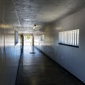 ZAF WC CapeTown 2016NOV15 RobbenIsland 040 : 2016, Africa, Date, Month, November, Places, Robben Island, South Africa, Southern, Western Cape, Year