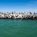 ZAF WC CapeTown 2016NOV15 RobbenIsland 063 : 2016, Africa, Date, Month, November, Places, Robben Island, South Africa, Southern, Western Cape, Year