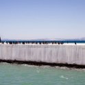 ZAF WC CapeTown 2016NOV15 RobbenIsland 065 : 2016, Africa, Date, Month, November, Places, Robben Island, South Africa, Southern, Western Cape, Year