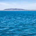 ZAF WC CapeTown 2016NOV15 RobbenIsland 067 : 2016, Africa, Cape Town, Date, Month, November, Places, South Africa, Southern, Western Cape, Year