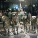 AS CHN NW SHA Xian 2017AUG14 TA RH 002  They were tagged Chariot No. 1 & No. 2 respectively and undertook extensive restorations over a two and half year period before going on public display. Chariot #2 was unveiled first in 1983, while #1 greeted the public in 1988. : 2017, 2017 - EurAisa, Asia, August, China, DAY, Eastern Asia, Lintong, Monday, Northwest, Relics Hall, Shaanxi, Terracotta Army, Xi'an