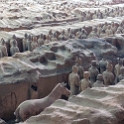 AS CHN NW SHA Xian 2017AUG14 TA Pit1 013 : 2017, 2017 - EurAisa, Asia, August, China, DAY, Eastern Asia, Lintong, Monday, Northwest, Pit 1, Shaanxi, Terracotta Army, Xi'an