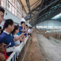 AS CHN NW SHA Xian 2017AUG14 TA Pit1 016 : 2017, 2017 - EurAisa, Asia, August, China, DAY, Eastern Asia, Lintong, Monday, Northwest, Pit 1, Shaanxi, Terracotta Army, Xi'an