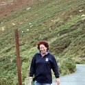 EU IRL LEI CoWick SallyGap 2008SEPT09 030 : 2008, 2008 - Culture Vulture Tour, 2008 Edinburgh Golden Oldies, Alice Springs Dingoes Rugby Union Football Club, County Wicklow, Date, Europe, Golden Oldies Rugby Union, Ireland, Leinster, Month, Places, Rugby Union, Sally Gap, September, Sports, Teams, Trips, Year