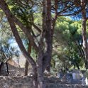EU PRT LIS Lisbon 2017JUL10 CasteloDeSaoJorge 005 : 2017, 2017 - EurAisa, Castelo de São Jorge, DAY, Europe, July, Lisboa, Lisbon, Monday, Portugal, Southern Europe