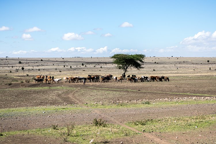 TZA ARU Nanja 2016DEC23 RoadA104 004