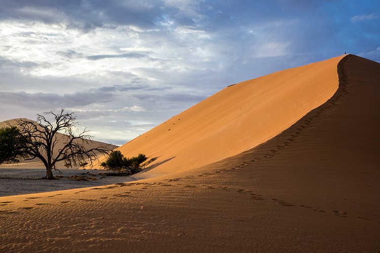 NAM HAR Dune45 2016NOV21 051