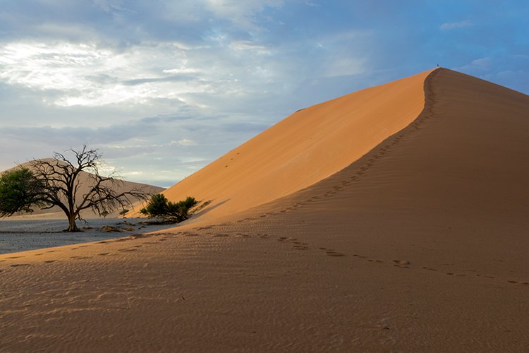 NAM HAR Dune45 2016NOV21 052