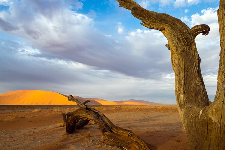 NAM HAR Dune45 2016NOV21 077