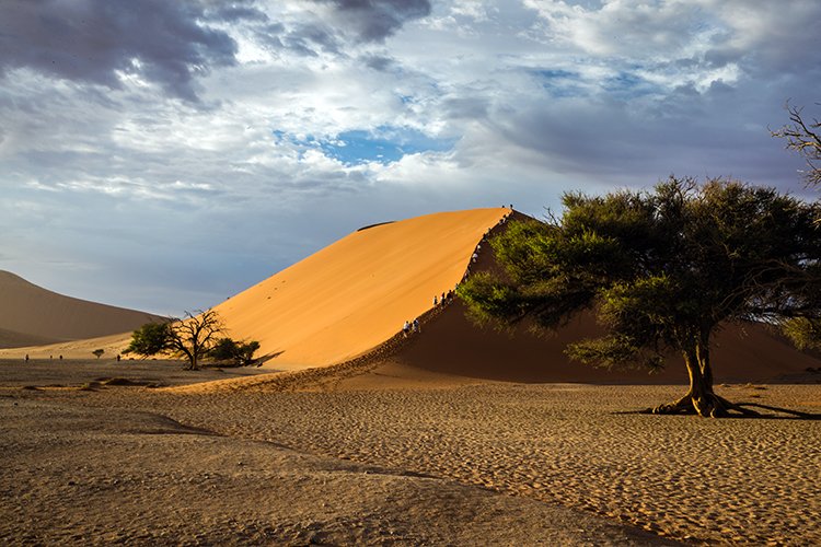 NAM HAR Dune45 2016NOV21 091