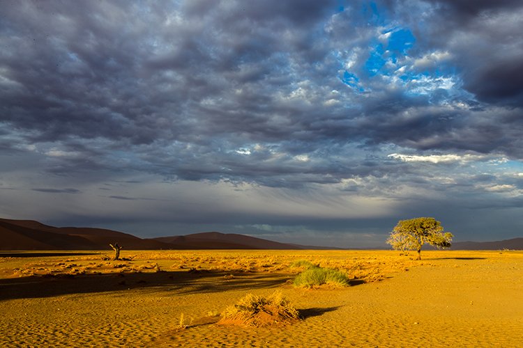 NAM HAR Dune45 2016NOV21 092