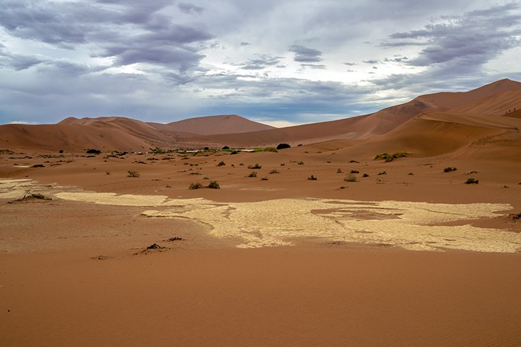 NAM HAR Sossusvlei 2016NOV21 DeadVlei 008