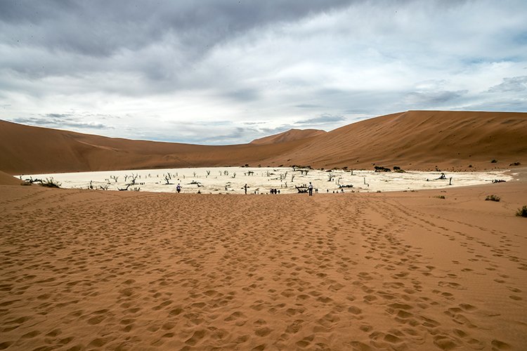 NAM HAR Sossusvlei 2016NOV21 DeadVlei 016