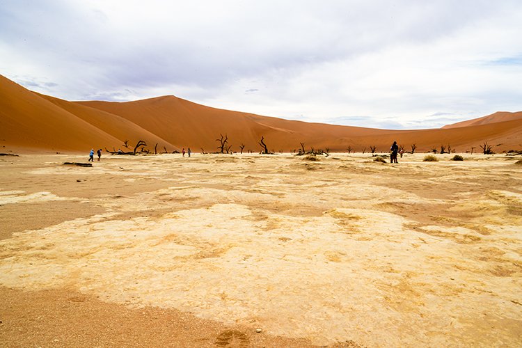 NAM HAR Sossusvlei 2016NOV21 DeadVlei 029