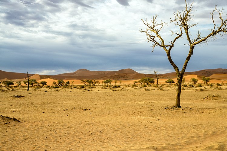 NAM HAR Sossusvlei 2016NOV21 002